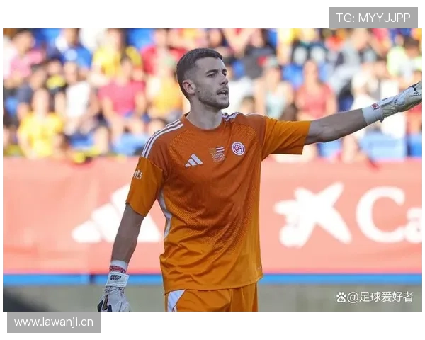 西甲埃斯帕尼奥尔引援